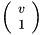 $ \left( \begin{array}{c} v\\ 1 \end{array} \right) $